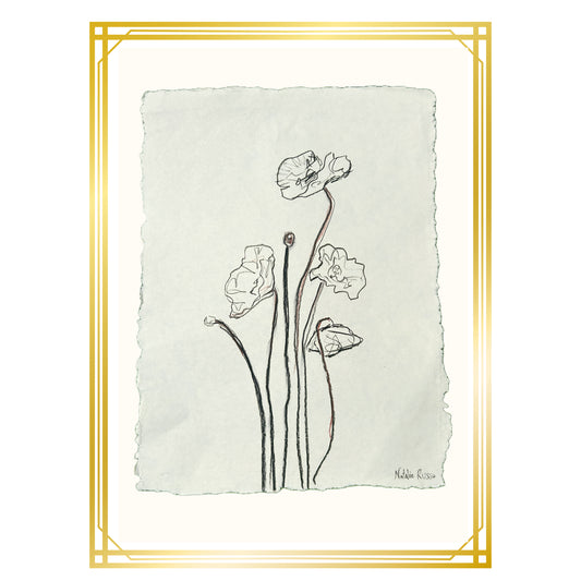 Black Ink Poppies on Paper