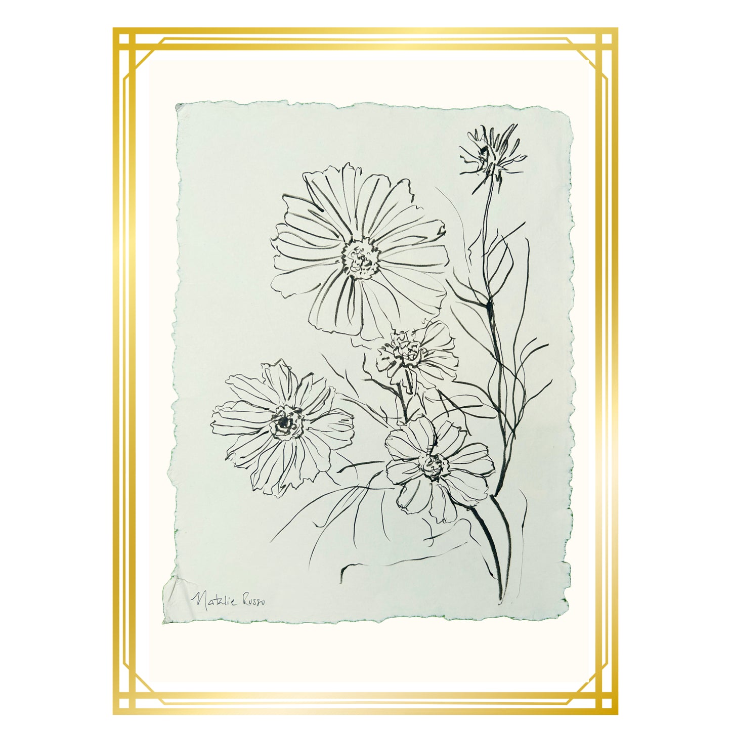 Comos Flowers on Paper