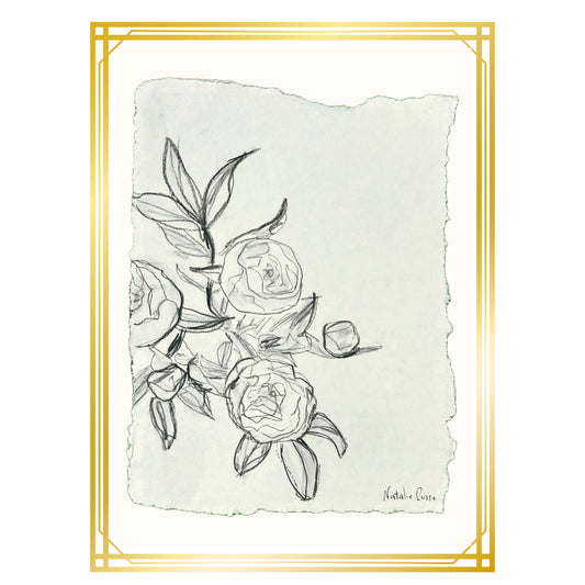 Camellia Sketch on Paper