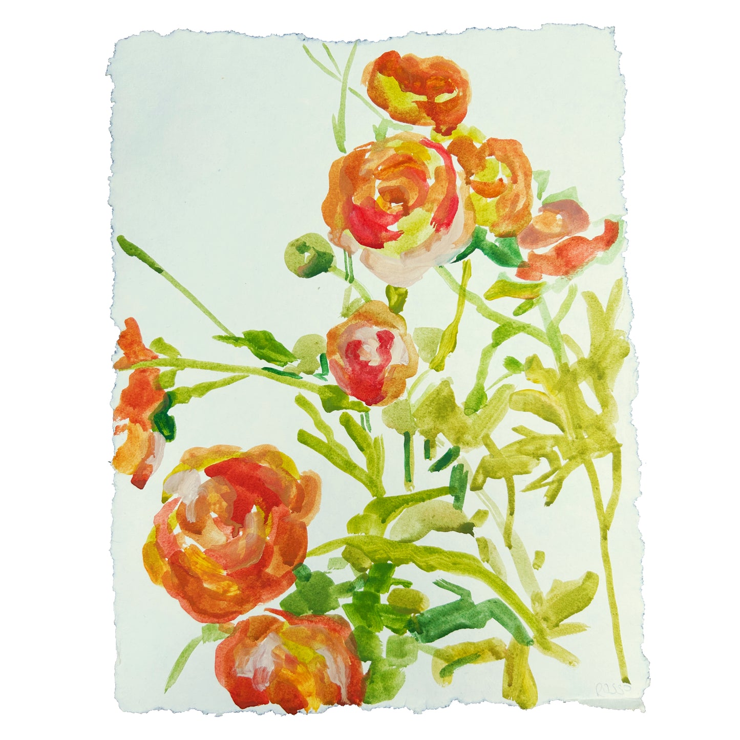 Garden Roses Painting on Paper