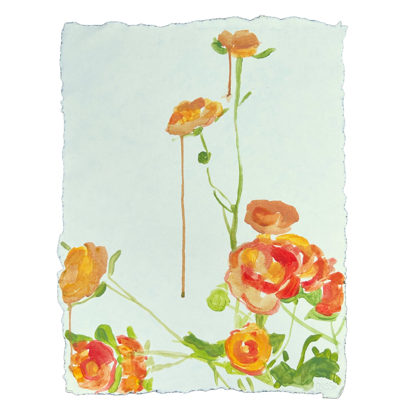 Garden Peony Painting on Paper