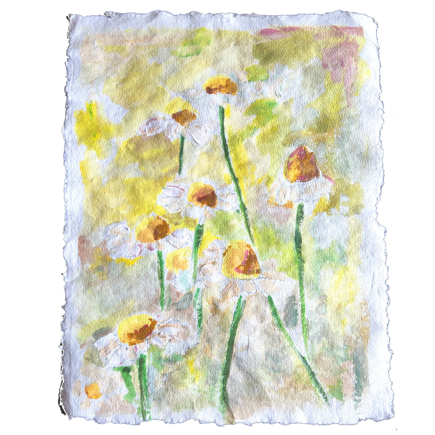Yellow Daisy Flowers on paper