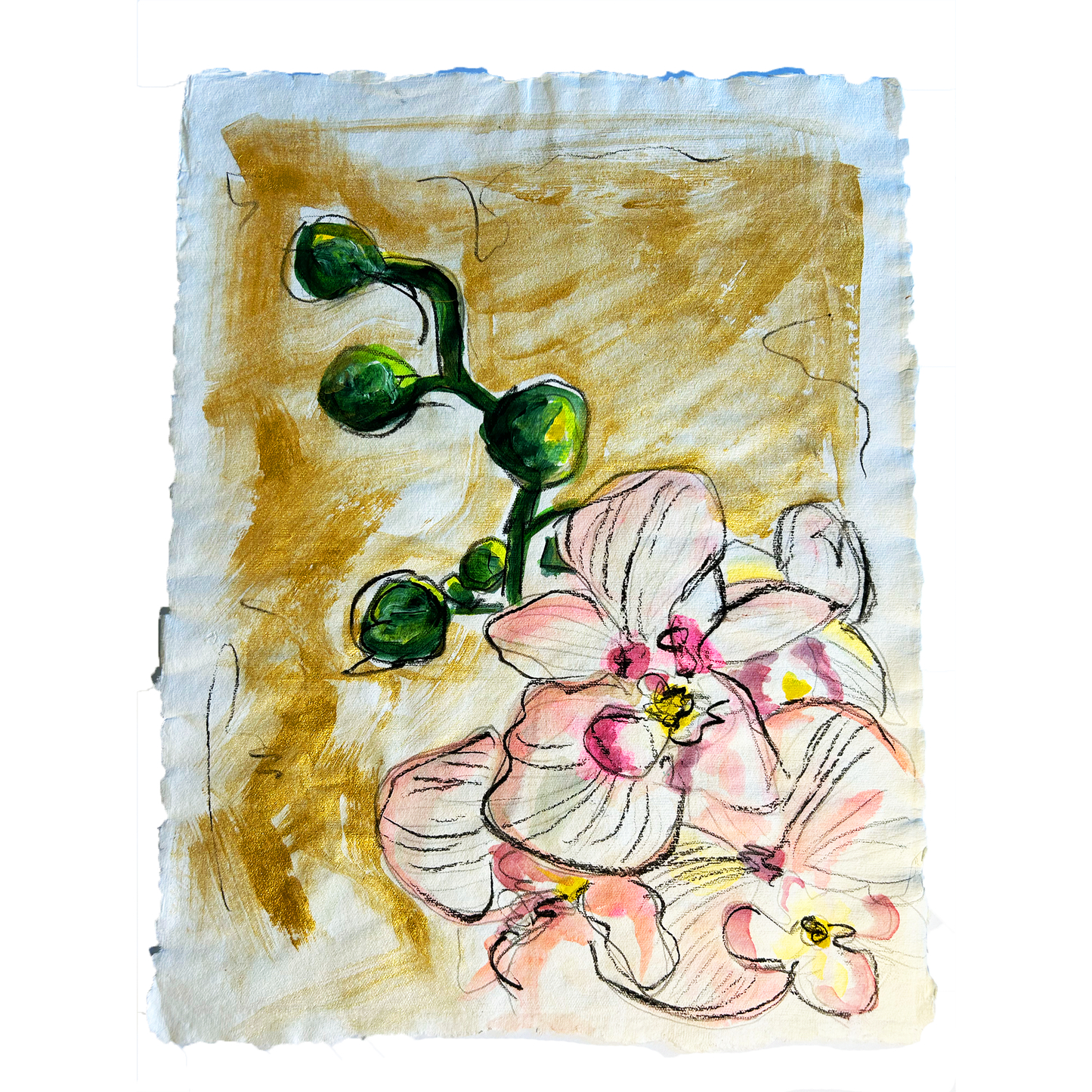 Flower Sketch on Paper #1